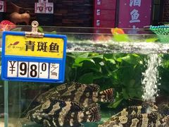 -船歌·鱼水饺青岛菜(闽江二路店)