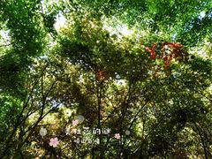-崂山巨峰游览区