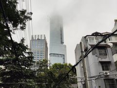 -紫峰大厦