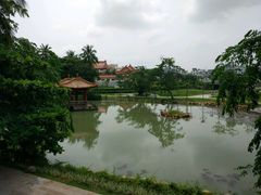 -海口市博物馆