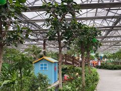 -南宫五洲植物乐园