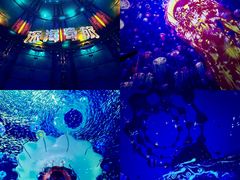 -南戴河国际娱乐中心