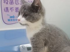 -芭比堂动物医院广州顽皮分院