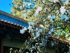 -昆明市金殿名胜区