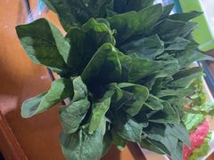 -正福居老北京正宗铜锅泉水涮肉(彰化路店)