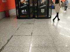 -真北路(地铁站)