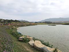 -光明小镇欢乐田园