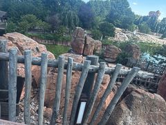 -巴黎迪士尼乐园