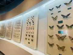 -陕西自然博物馆