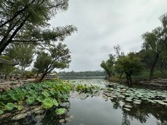 -承德避暑山庄景区
