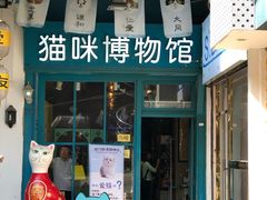 门面-猫咪博物馆(顶澳仔猫街店)