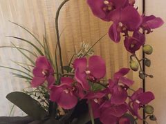 -电谷雅阁国际大酒店