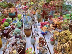 -Rabbit Cafe私房西餐甜点咖啡(栖霞路店)