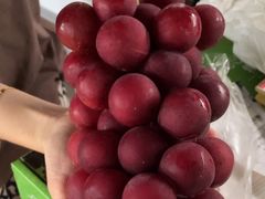 -马陆小张葡萄园农家乐