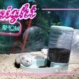 夏日里来生灵奇境观看小动物