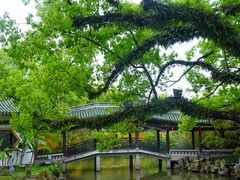 -江心屿景区