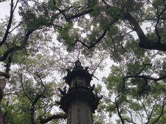 -普陀山风景名胜区-法雨禅寺
