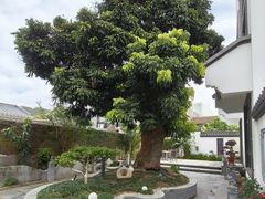 -平海古城