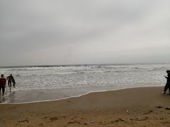 -东海岛旅游度假区