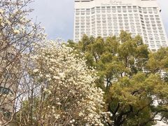 -上海花园饭店