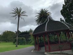 -墨尔本皇家植物园