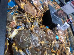 帝王蟹-盒马鲜生(王府广场店)