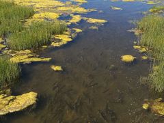 -青海湖仙女湾景区
