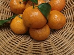 -唐山宴大唐州府精品中餐