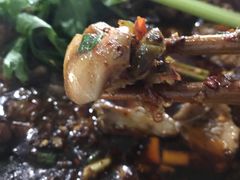 -温江公平红烧兔(总店)