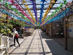 -亲兄弟真人CS团建拓展基地