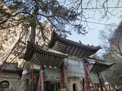 -藏山旅游风景区