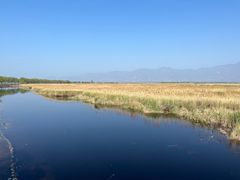 -野鸭湖国家湿地公园