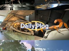 -墨尔本博物馆(Melbourne Museum)