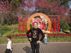 -金鸡山公园