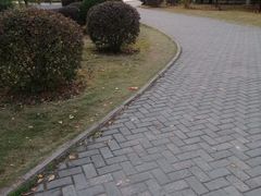 -武汉交通职业学院