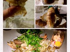 -越海渔村
