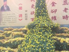 -祥源·阜阳生态乐园