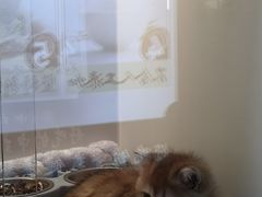 -大悦城(沈阳中街店)