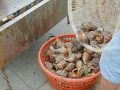 -沈家门渔港