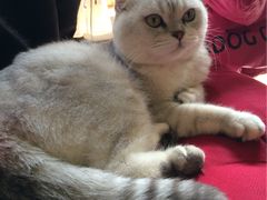 -MIKAKU(万达广场上海宝山店)