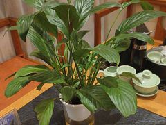 -半山•草庐玖厨(机场路店)