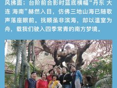 -新世纪绿洲(抚顺店)