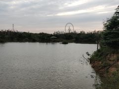 -日照海滨国家森林公园