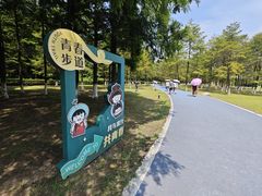 -宜兴龙背山森林公园