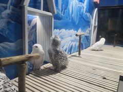 -成都浩海立方海洋公园