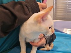 -美迦爱-牙专科·兔科·骨科诊疗中心(北苑店)