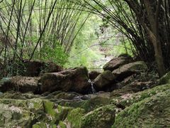 -大雁山风景区