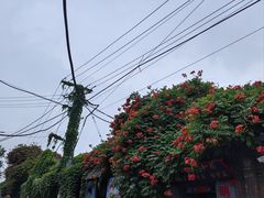 -百花洲