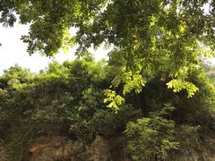 -水墨汀溪风景区