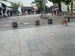 -鸣鹤古镇